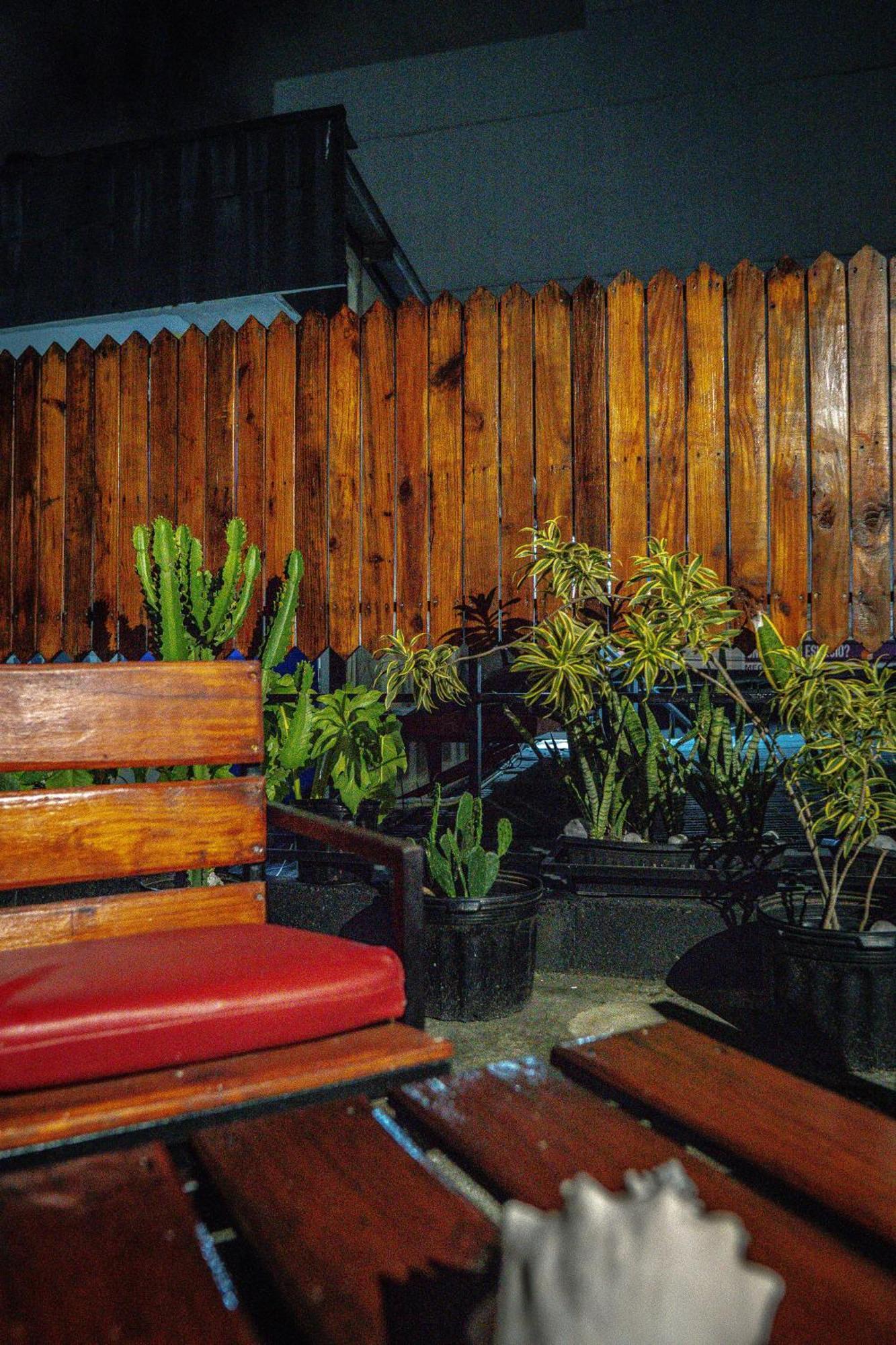 Eden'S Garden Hostel Panama Stadt Exterior foto